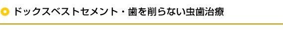 ドックスベストセメント・歯を削らない虫歯治療